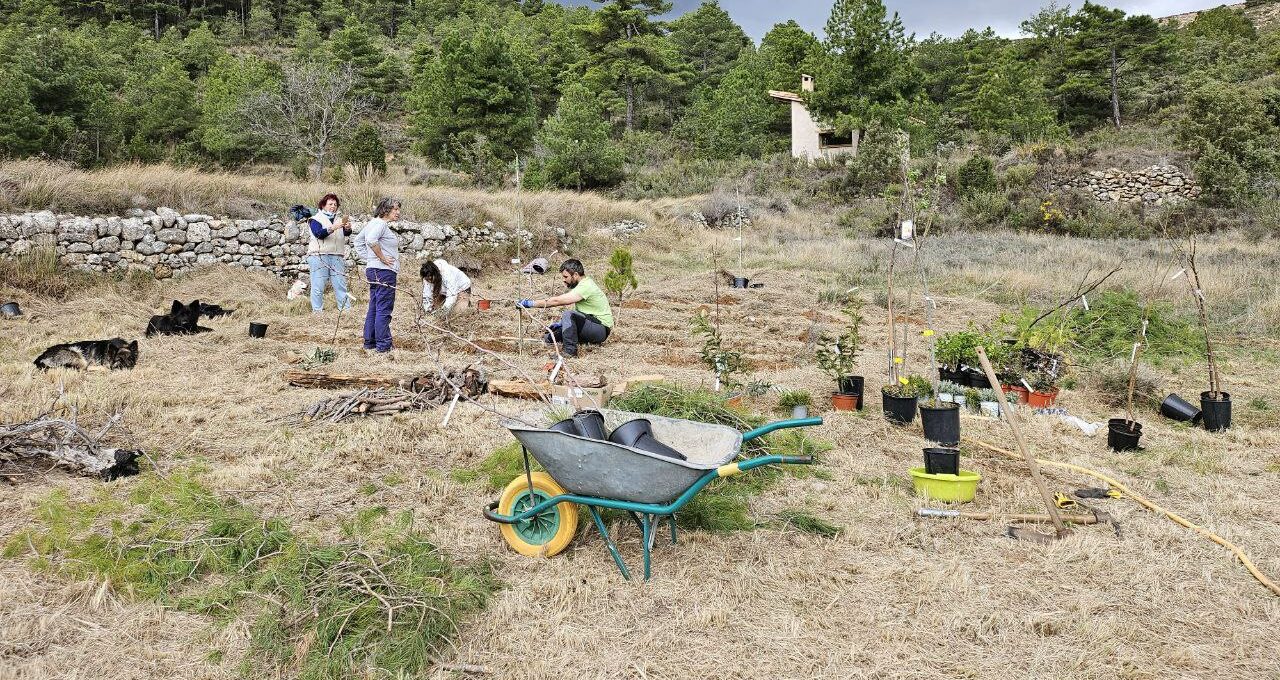 Actividades — Tierra Viva