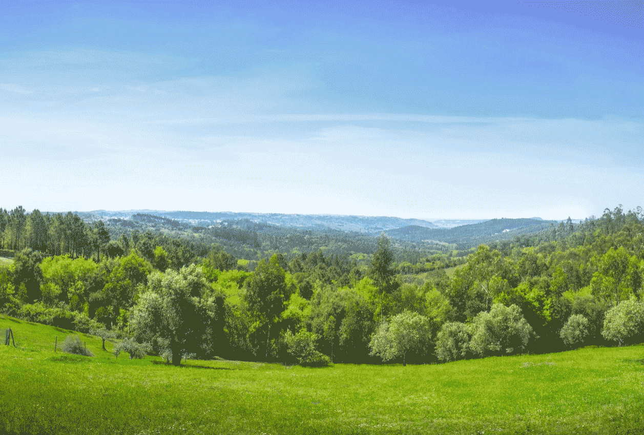 Paisaje-ReservaBioDMunicipal Portada Soberanía