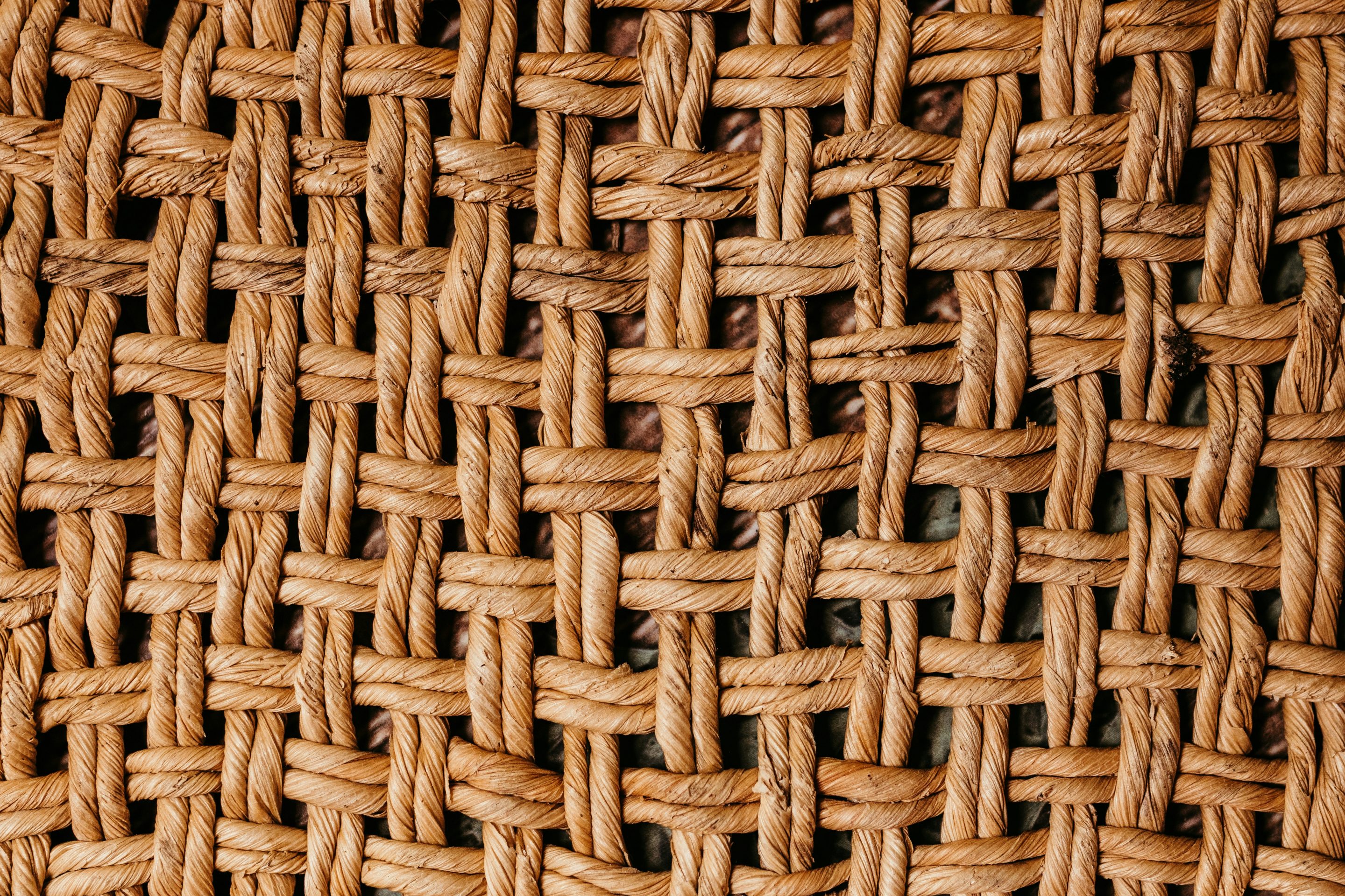 Tejemos