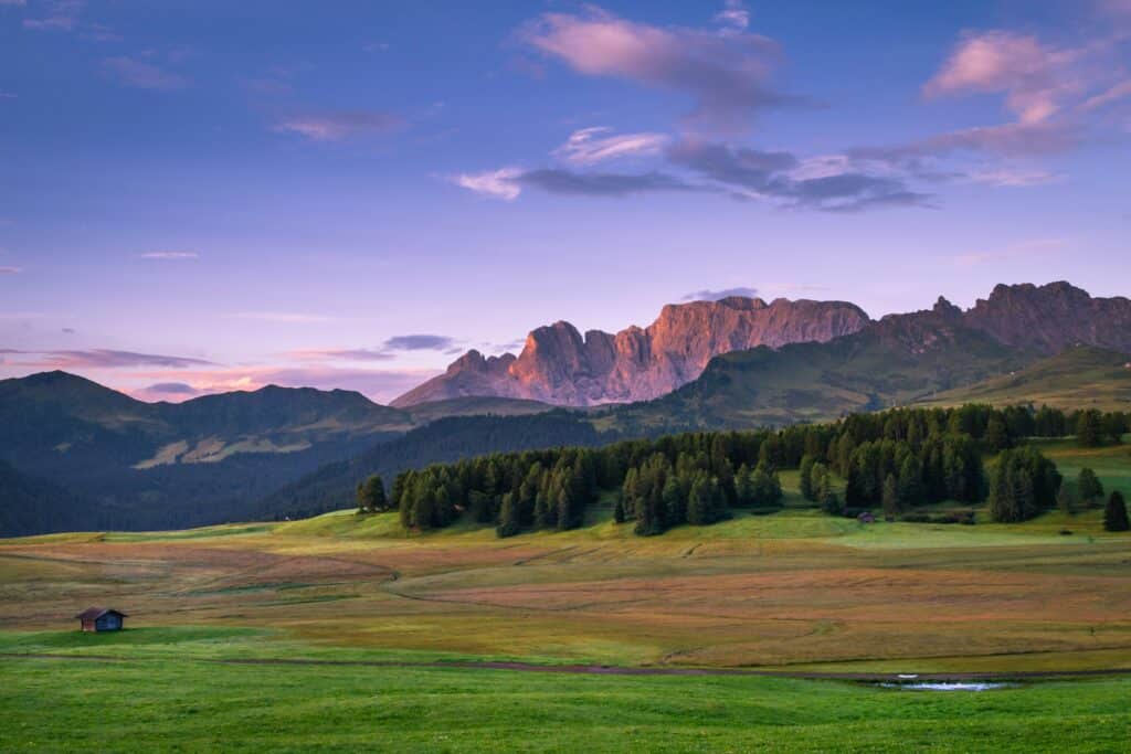 Pradera verde de montaña con bosque y cumbres al atardecer