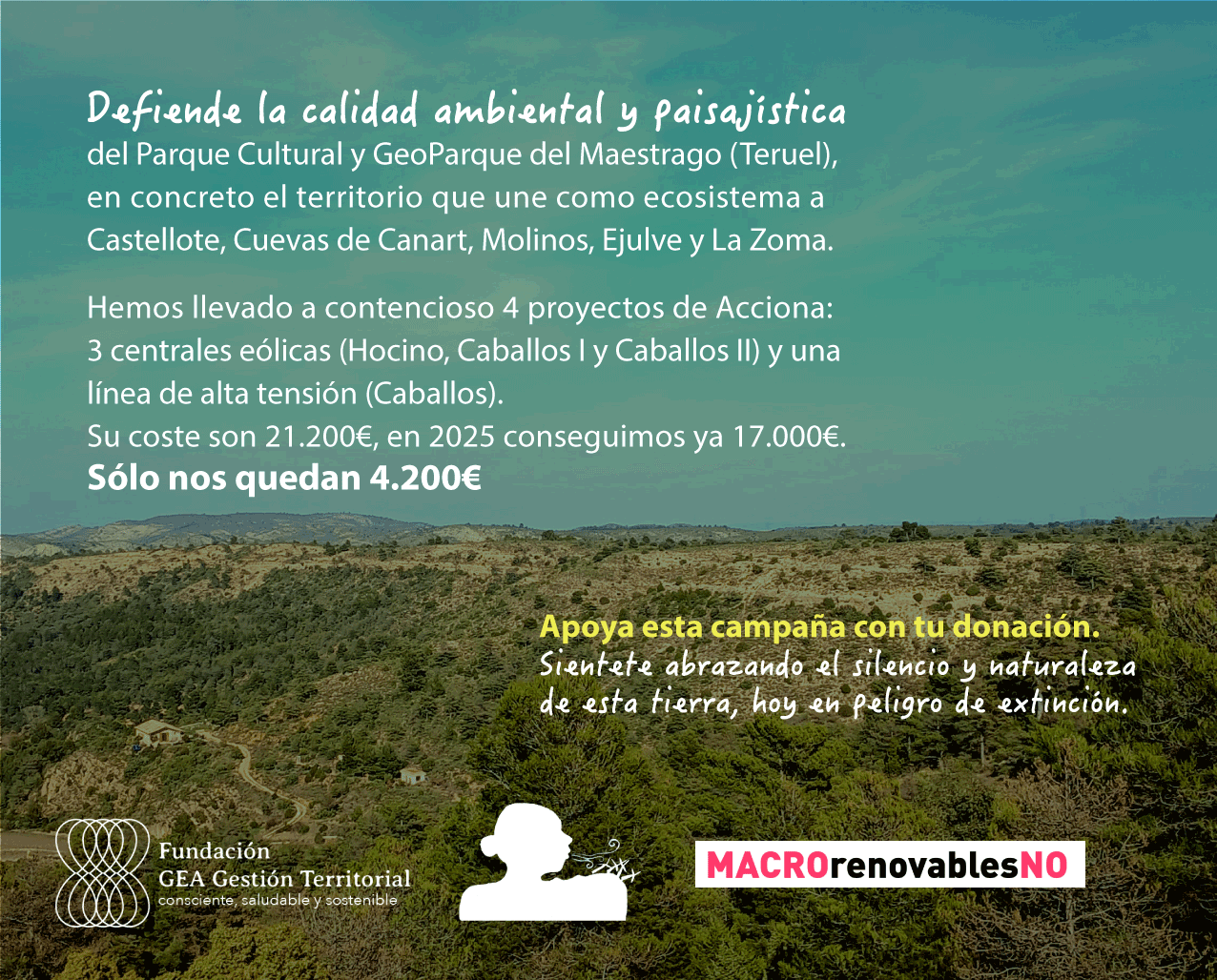 cartel de la campaña